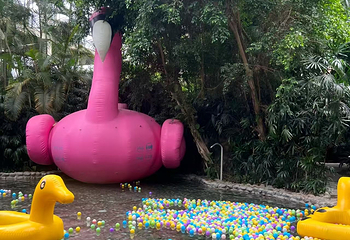 龙熙温泉水世界第 28 张图片