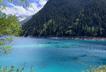 九寨沟风景区第 563 张图片