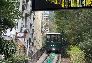 太平山顶第 283 张图片