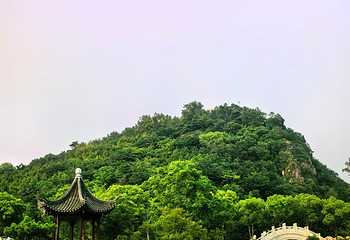 亭林园第 54 张图片