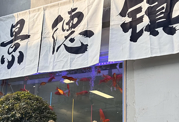 景德镇市雕塑瓷厂第 12 张图片