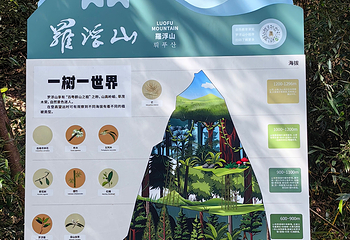 广东罗浮山风景名胜区第 45 张图片