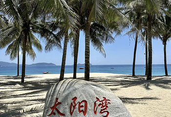 太阳湾第 66 张图片