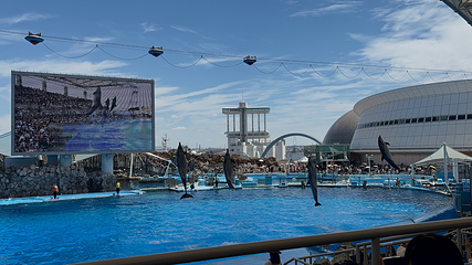 名古屋港水族馆第 11 张图片