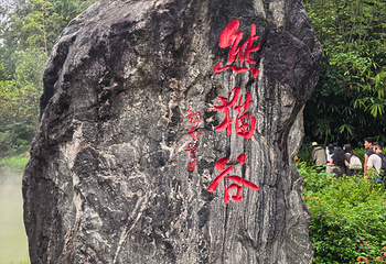 熊猫谷第 114 张图片