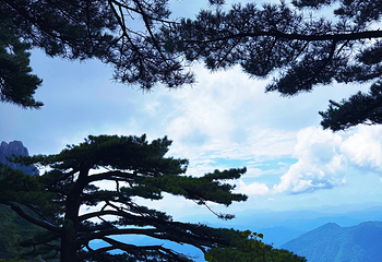 黄山风景区第 394 张图片