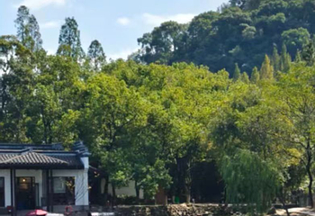 东湖第 165 张图片