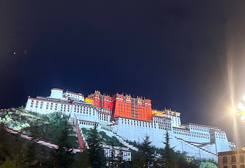 布达拉宫第 194 张图片