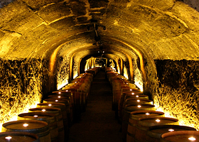 Del Dotto Vineyards & Winery