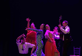 塞维利亚Teatro Flamenco Sevilla弗拉明戈剧院第 20 张图片