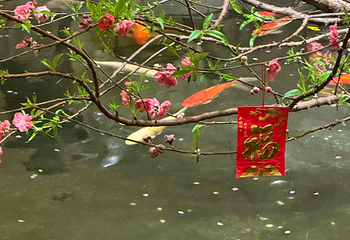 惠食佳(滨江大公馆店)第 33 张图片