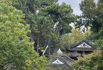 寒山寺第 37 张图片