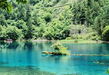 九寨沟风景区第 368 张图片
