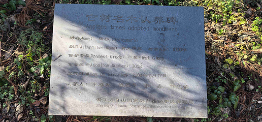天目山自然保护区第 87 张图片