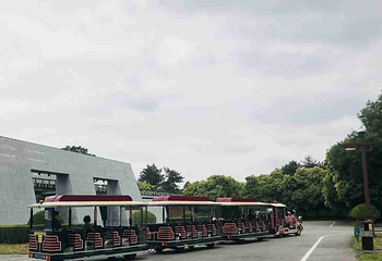 大明宫国家遗址公园第 170 张图片