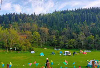 武陵山国家森林公园第 54 张图片