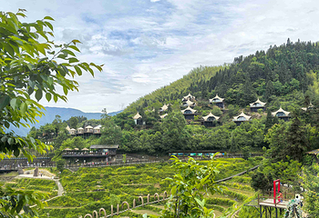 云和梯田景区第 53 张图片