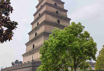 大雁塔第 148 张图片