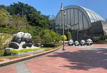石排湾郊野公园第 10 张图片
