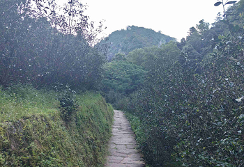 武夷山国家公园第 153 张图片