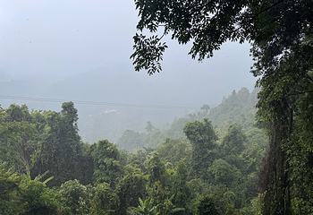 Skyline Adventure 清迈丛林飞跃第 31 张图片