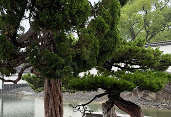 苏州博物馆第 325 张图片