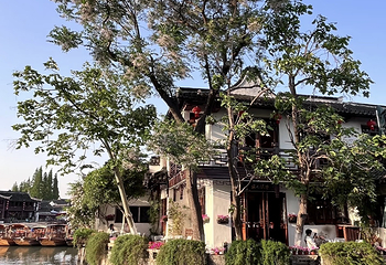 朱家角古镇景区第 149 张图片