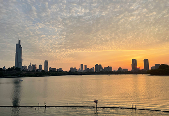玄武湖景区第 155 张图片