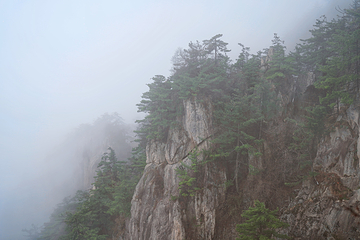 老君山景区第 185 张图片