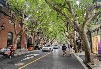 巨鹿路第 29 张图片