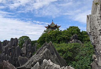 石林风景区第 154 张图片