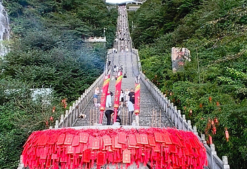 天门山国家森林公园第 491 张图片