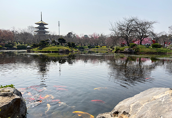 东湖生态旅游风景区第 25 张图片