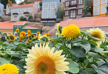 新加坡滨海湾花园第 203 张图片