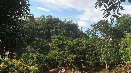 可托山丛林越野俱乐部第 1 张图片
