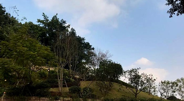 磁器口后街公园