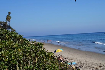Butterfly Beach第 18 张图片