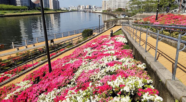 千住大川端公园