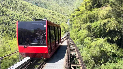 天目湖南山竹海第 158 张图片