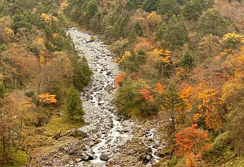二郎山喇叭河风景区第 124 张图片