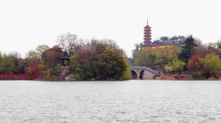 金山第 54 张图片