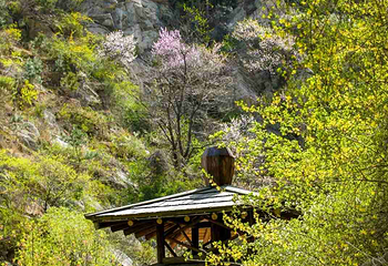 九如山休闲旅游度假区第 184 张图片