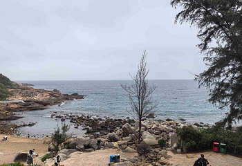 海龟湾第 30 张图片