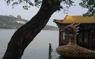 颐和园第 256 张图片