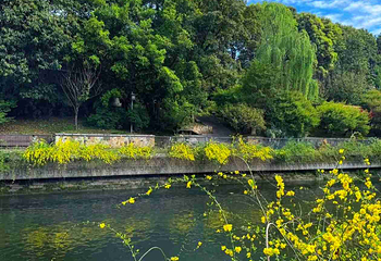 浣花溪公园第 43 张图片