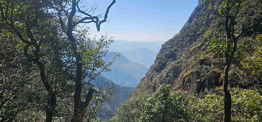萍乡武功山风景区第 114 张图片