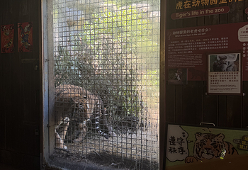 红山森林动物园第 348 张图片
