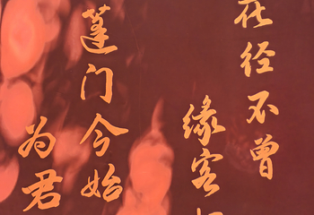 杜甫草堂第 346 张图片