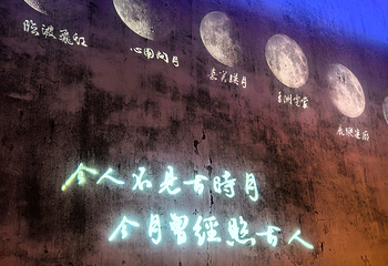 拙政园第 476 张图片
