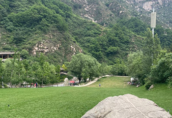 漫山花溪谷第 60 张图片